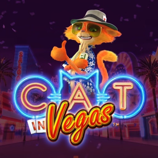 Cat In Vegas